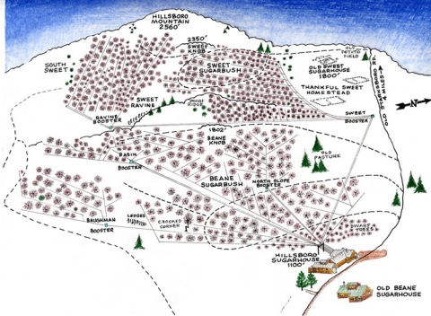 Hillsboro Map