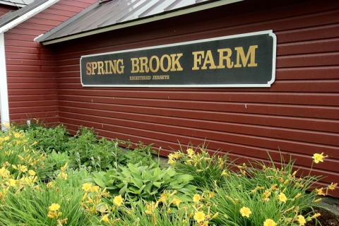 Spring Brook Farm