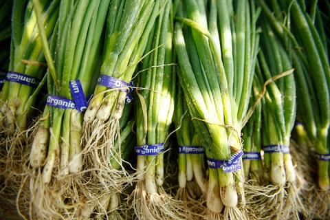 Green Onions