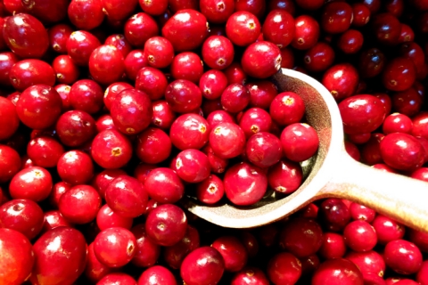 Vermont Cranberries