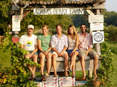 Adam's Berry Farm