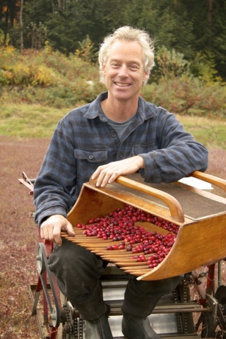 Cranberry Bob