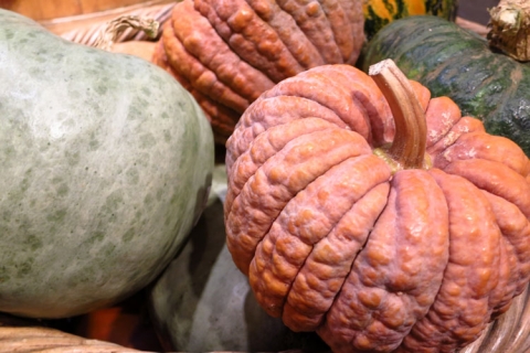 Heirloom pumpkins