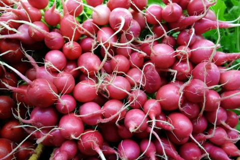 Roasted Radishes With Bacon