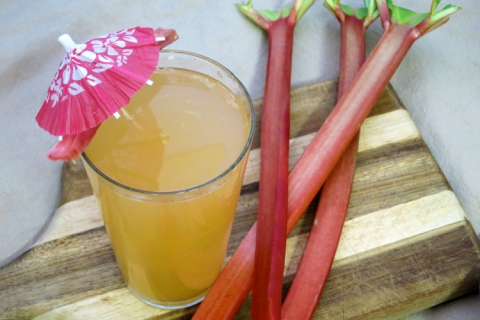 Rhubarb Soda