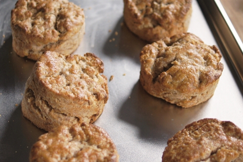 Whole Wheat Biscuits