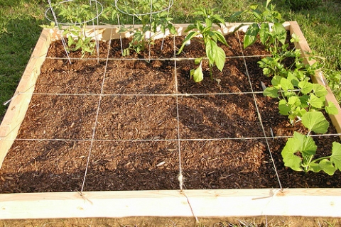 Square Foot Gardening