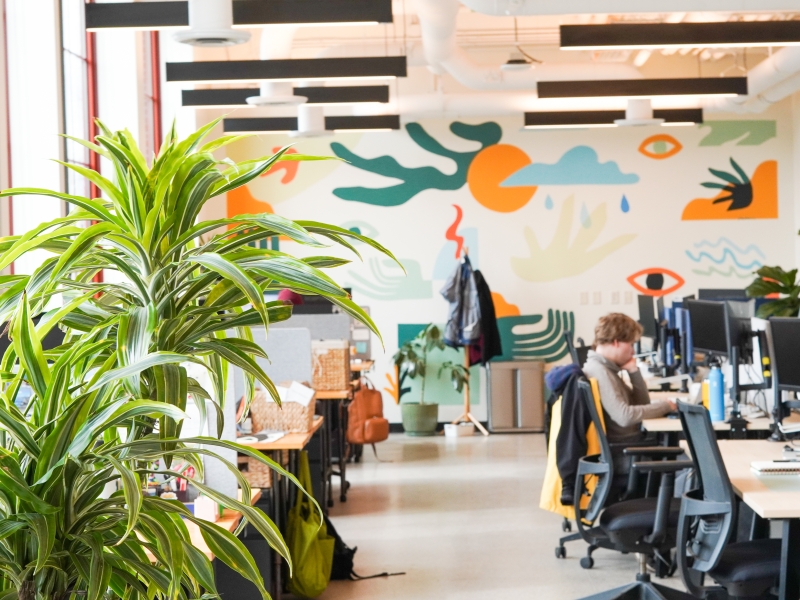In the front left, a leafy green plant sits inside a bright, airy office space. The back wall of the office has a mural with teal, gold and blue shapes on a while background.