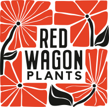 A square split into quarters, each holding one red square flower. At the center in black all-caps lettering are the words "Red Wagon Plants."