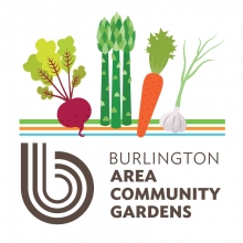 Burlington Area Community Gardens Bacg City Market Onion